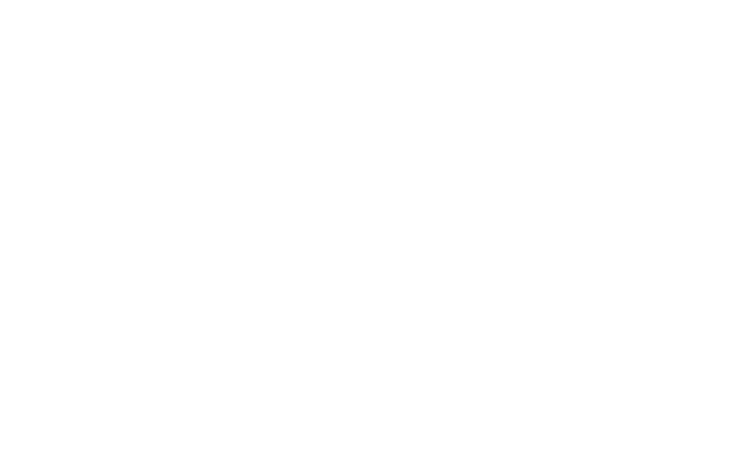 THE ORIENT | OUR HOTELS | PDS HOTELS